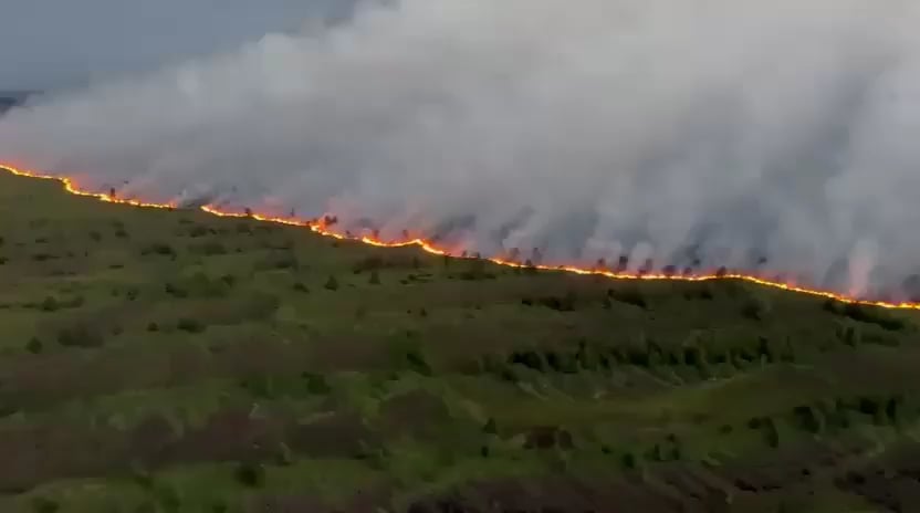 Belgian wildfire doubles in size on third day, threatening nature reserve