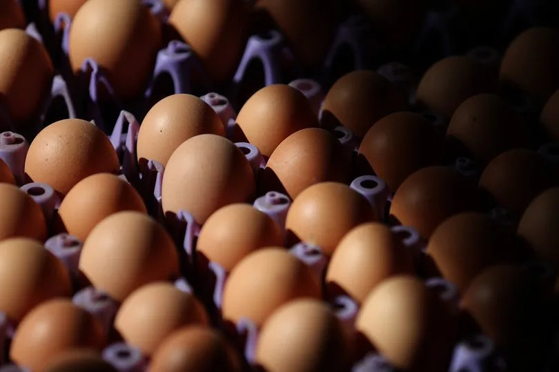 Imported eggs linked to deadly salmonella surge in England