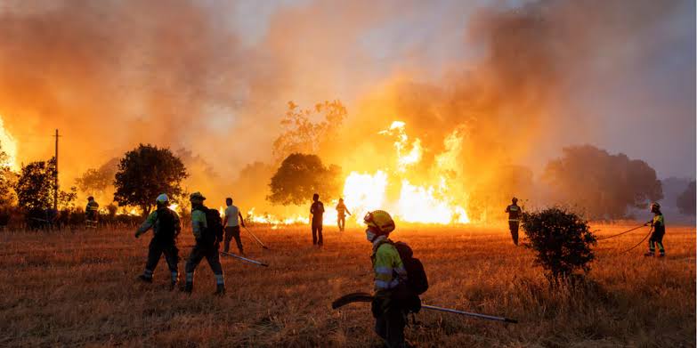Britain grapples with record heat, severe drought and a forecast wet winter