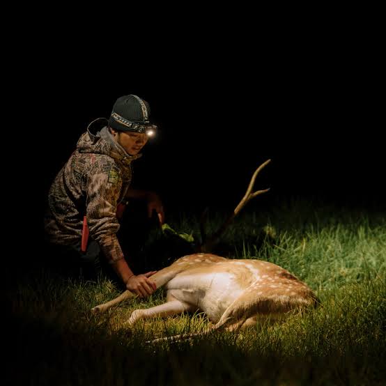 Hawaii Turns Invasive Axis Deer Into Sustainable Venison Amid Ecological Crisis