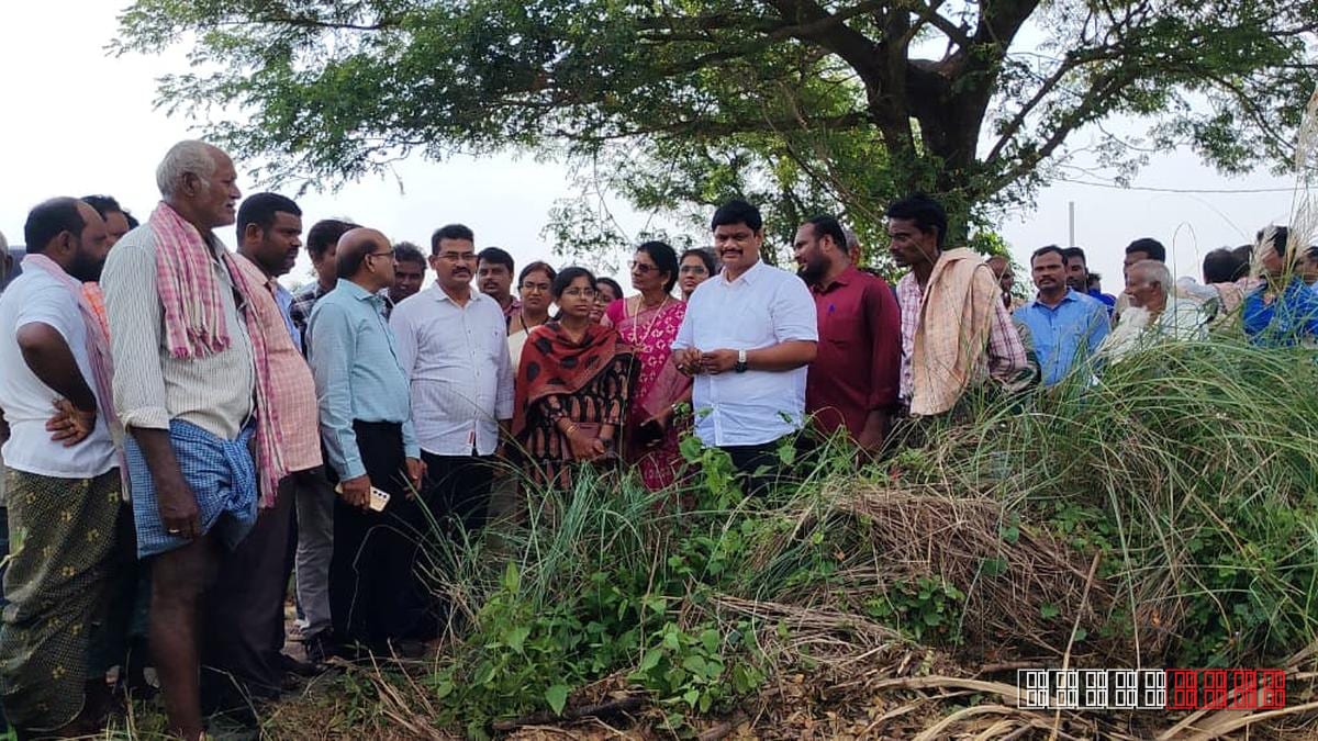 Agriculture Department says 13,000 acres of Srikakulam paddy ruined by floods