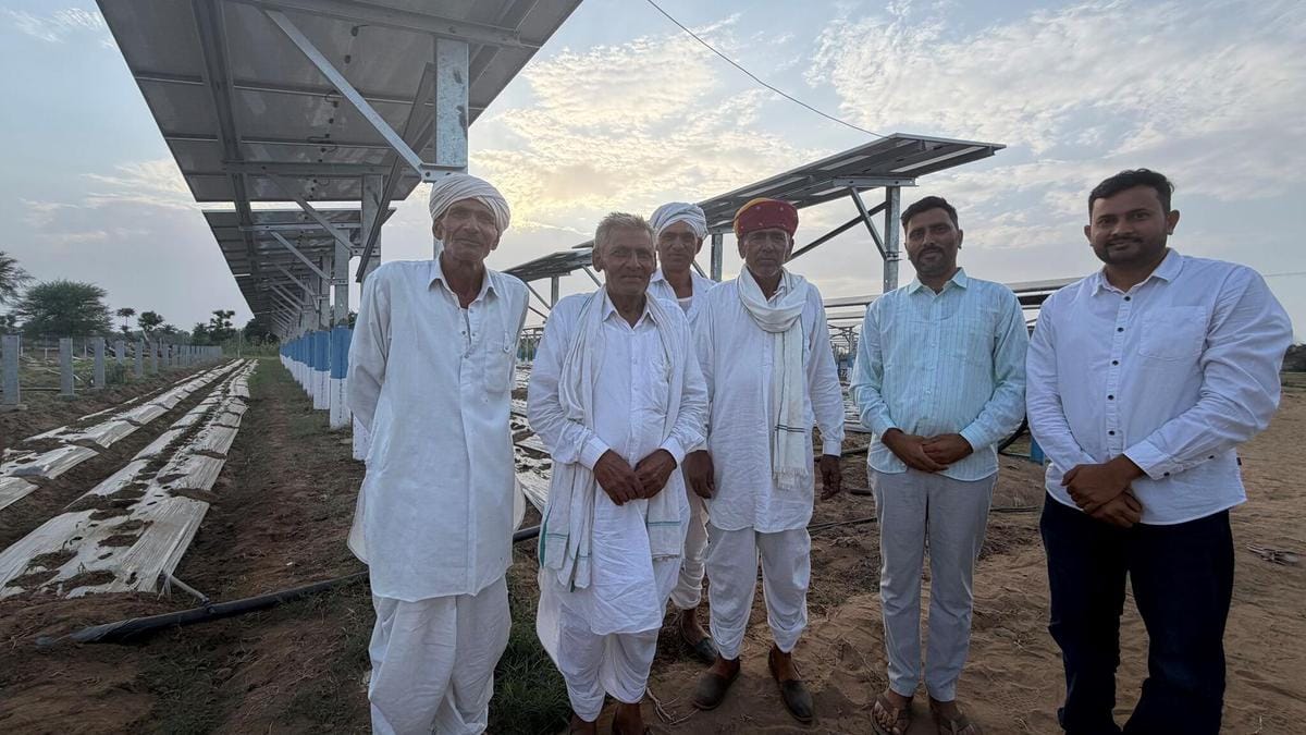 Agrivoltaics Offers Indian Farmers a Dual Revenue Stream