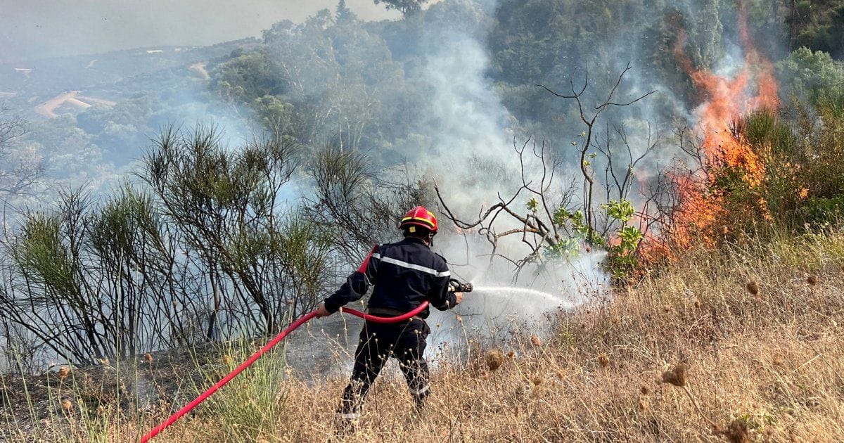 Algerian president pushes capital punishment for deliberate forest fires