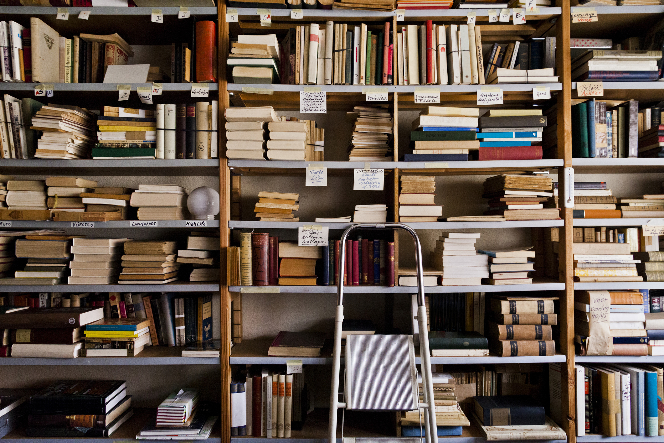 Amazon dismantles rare books to feed its AI models