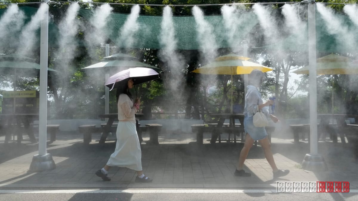 August Sets New Global Heat Benchmark, Scientists Cite Climate Change