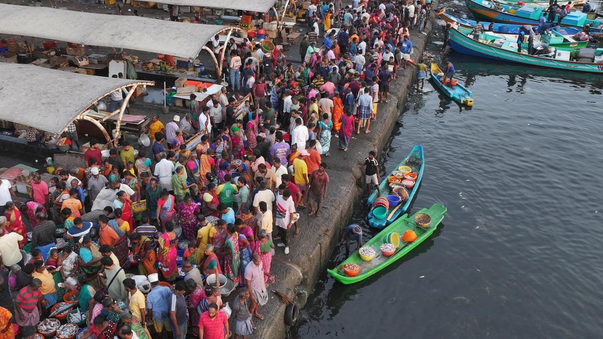Chennai Fishermen Turn to Ocean Catch as River Hauls Dwindle