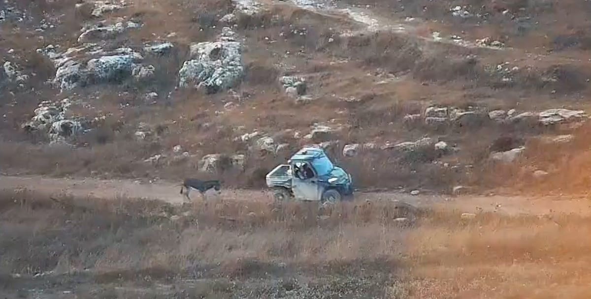 EU sanctions Israeli settler after Palestinian farmer’s donkey is stolen and killed