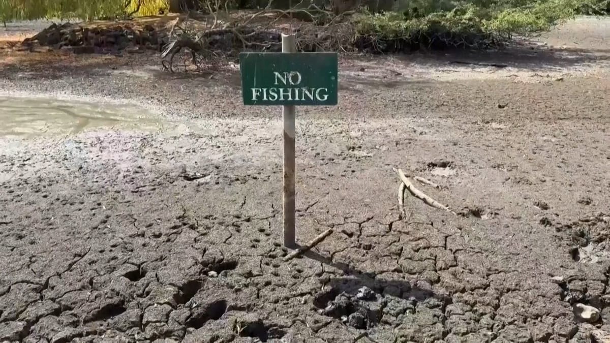 Europe faces unprecedented drought as heat saps rivers and farms