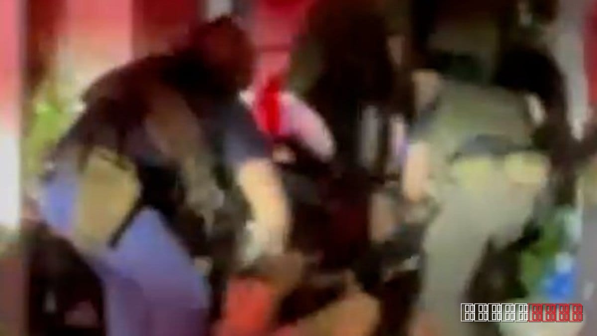 Growing calls for probe after ICE uses force on demonstrators
