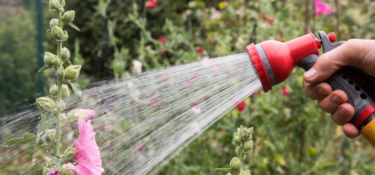 Hosepipe bans expand across the UK as drought conditions worsen