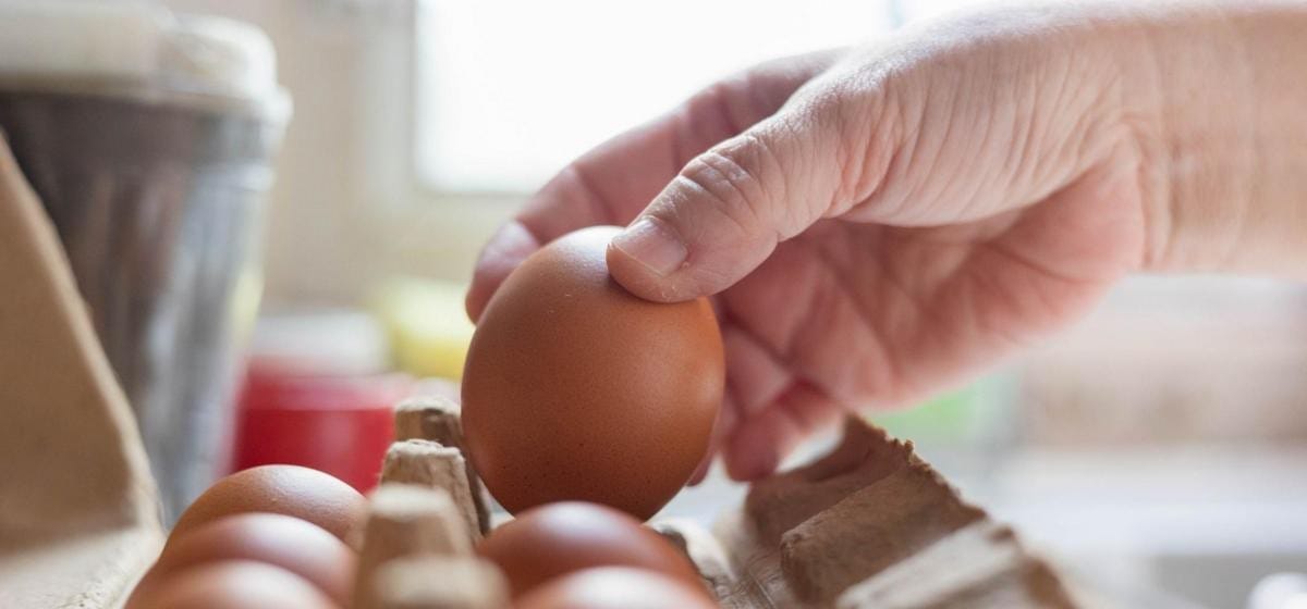 Imported eggs identified as source of widespread salmonella outbreak