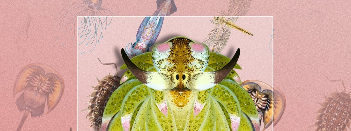 Invertebrates deserve respect, not revulsion, as Britain faces a biodiversity crunch