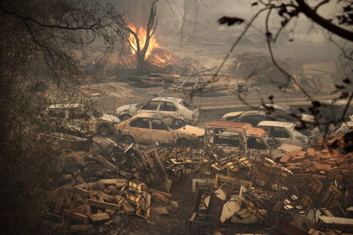 Jijel communities assess devastation after deadly Algerian wildfires
