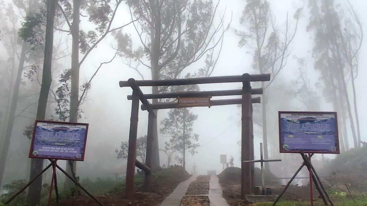 Kerala's Neelakurinji Bloom Opening Sparks Dispute Over Local Exclusion