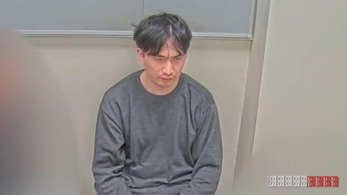 London rapist Zhenhao Zou linked to new suspected crimes, police reveal
