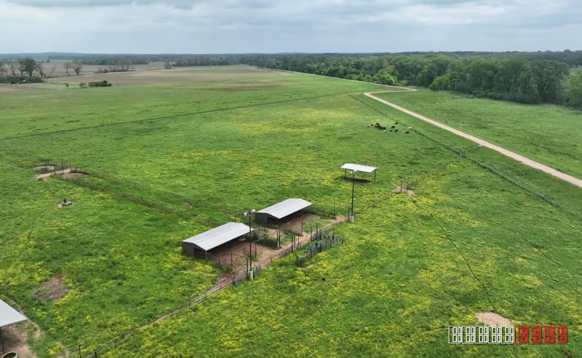 Louisiana neighbor feud over 70‑foot strip ends with $15,000 judgment and injunction