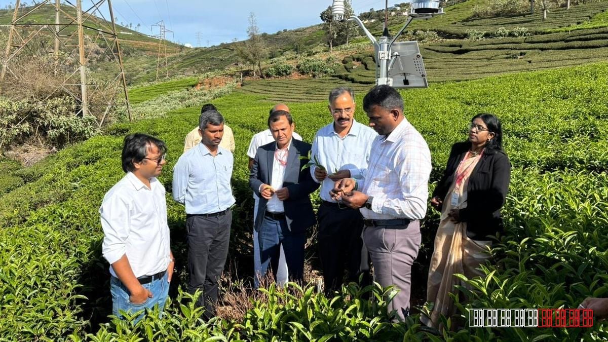 New Weather Hubs Launched to Aid Nilgiris Small‑Scale Tea Farmers