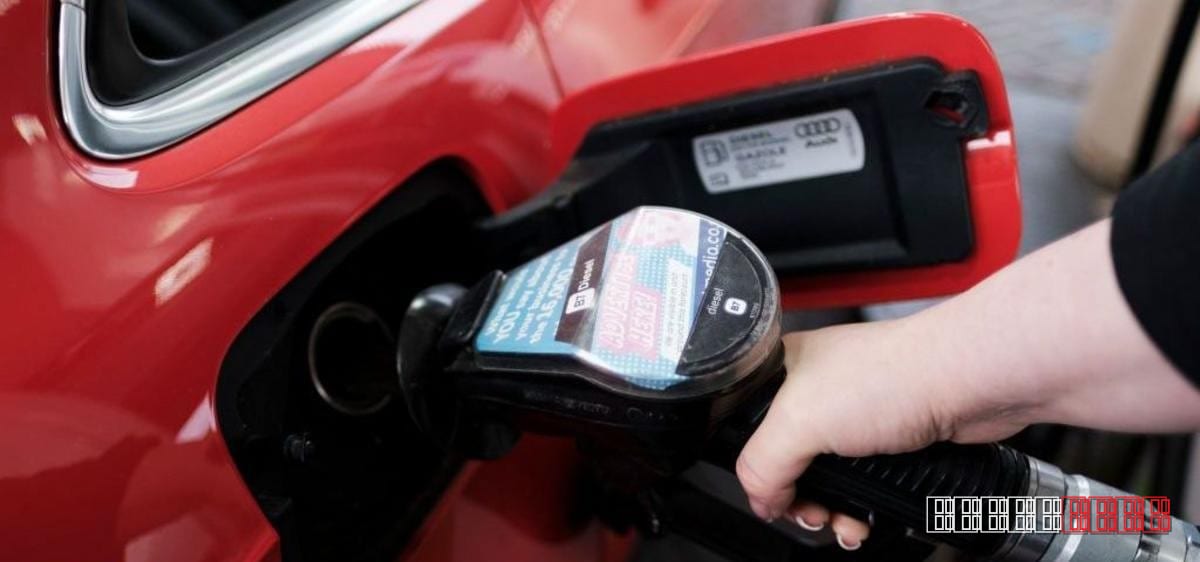 OECD trims UK growth outlook for 2025 amid rising energy costs