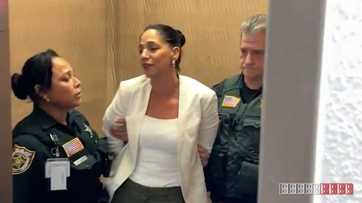 Palestinian Rights Attorney Noura Erakat Detained During Israel Bonds Protest Hearing