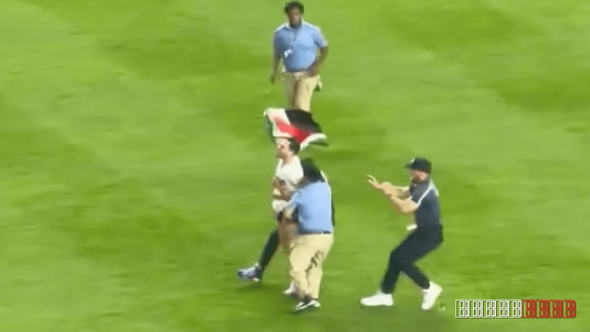 Protester tackled after sprinting onto Yankee Stadium with Palestinian flag