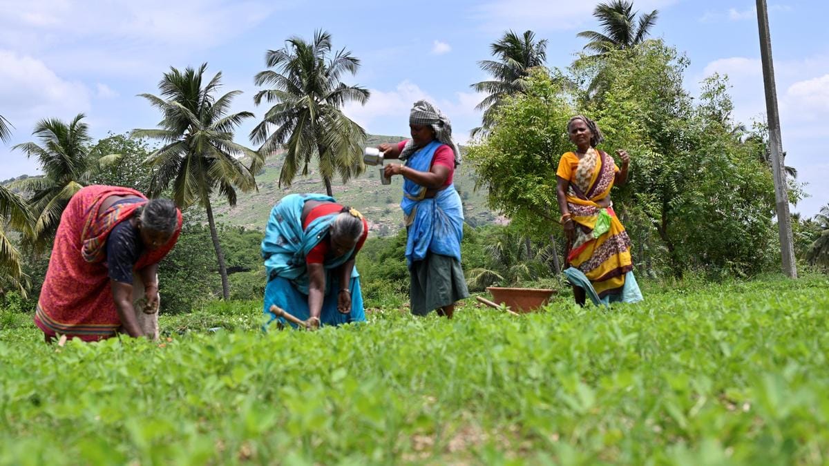 Rural Gains Outpace Urban Growth in India's Female Workforce
