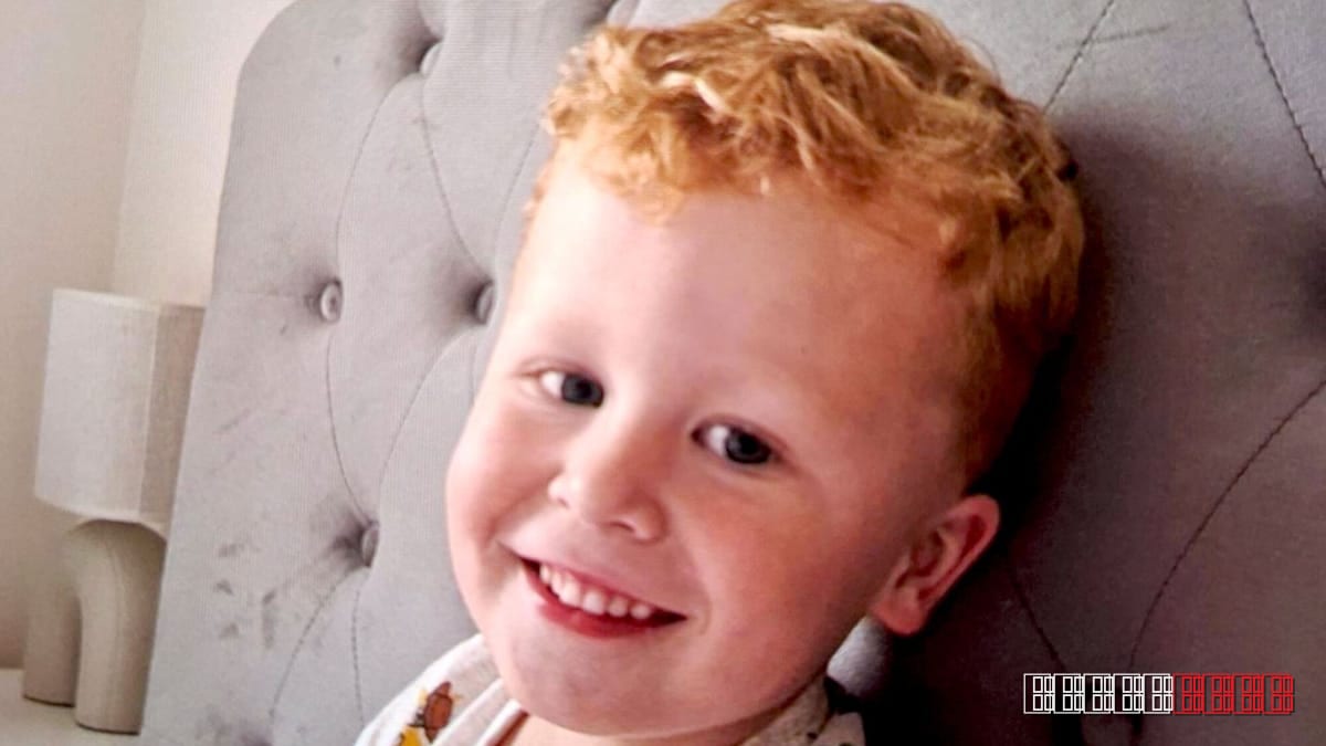Suffolk Search Ends with Discovery of Missing Toddler's Remains