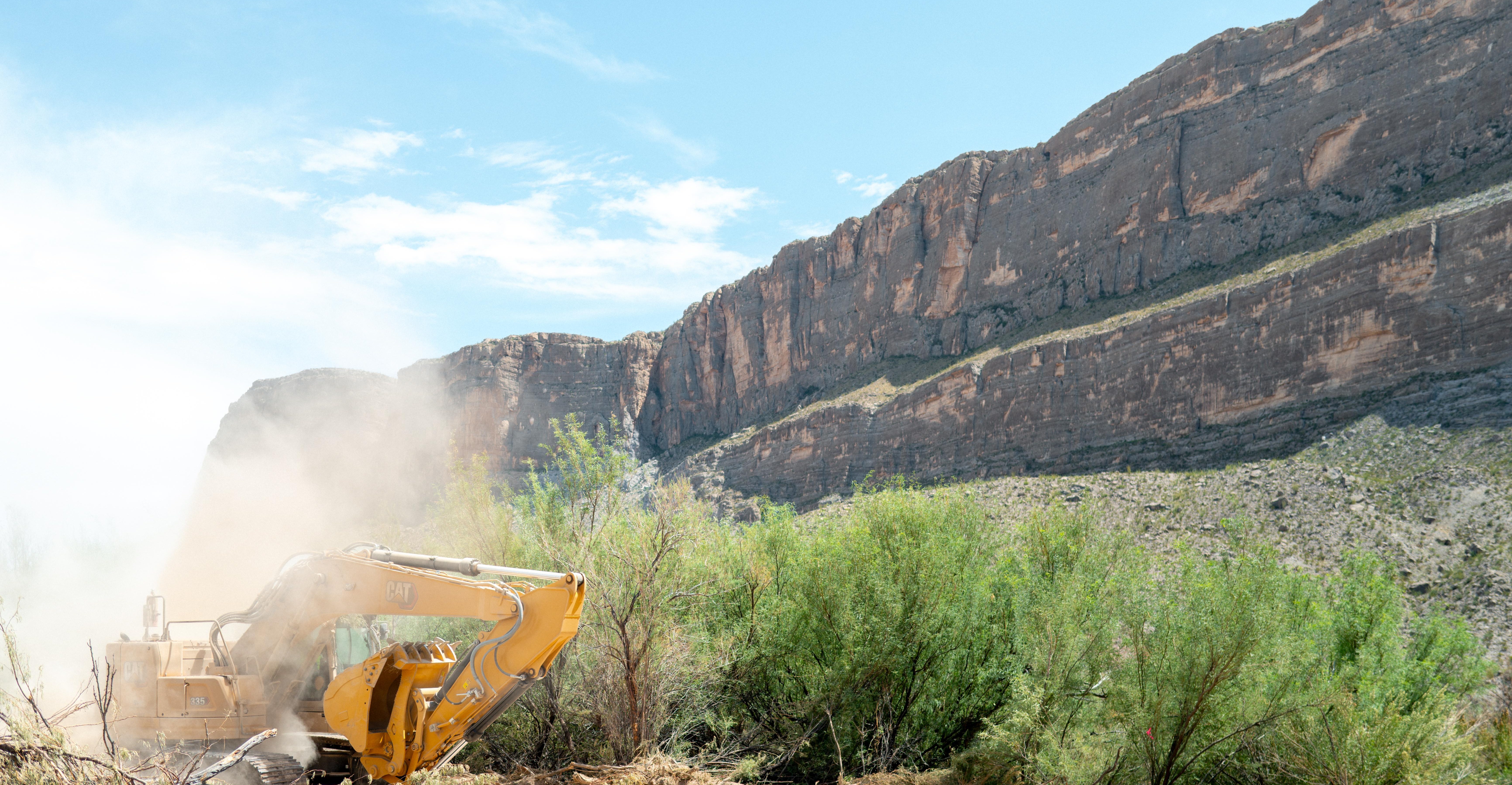 Trump border wall construction endangers 200‑year‑old cottonwood tree in Arizona