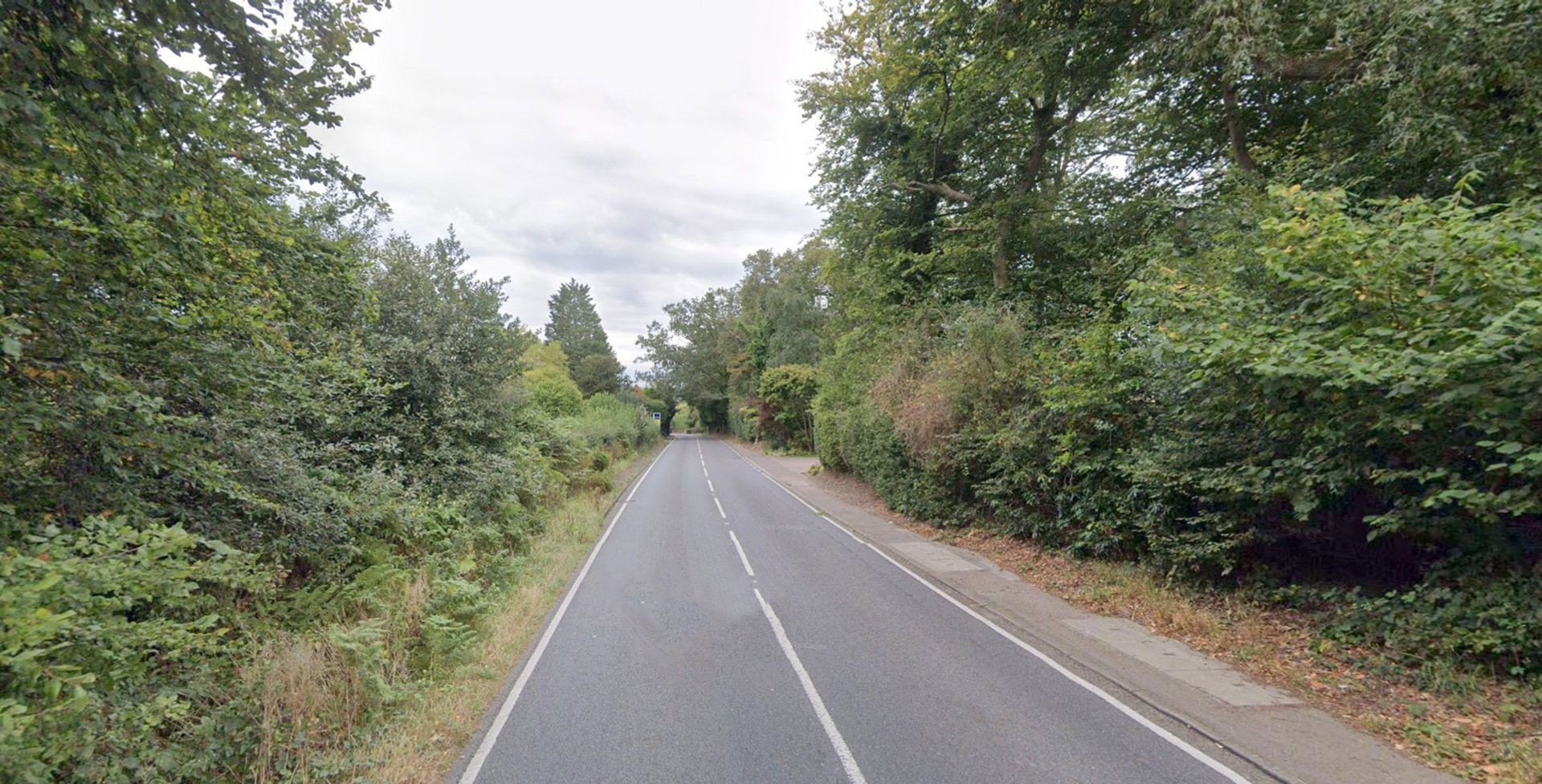 Two teenagers killed in Essex car crash into woodland